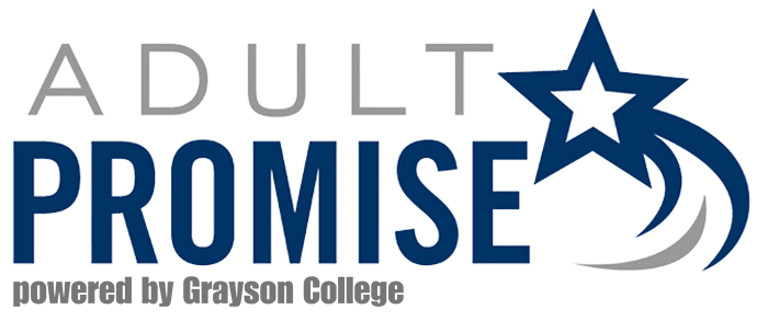 成人的承诺 Program